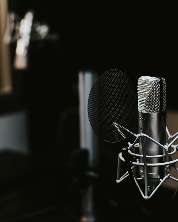 Condenser microphone in a dark vocal booth